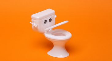 9 choses que vous ne saviez pas sur les toilettes