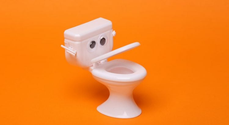 9 choses que vous ne saviez pas sur les toilettes