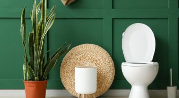 quel-role-jouent-les-plantes-dans-le-coin-toilettes