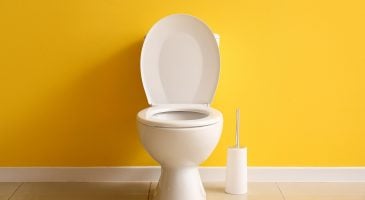 Pourquoi la géométrie interne de la cuvette des toilettes est-elle importante ?