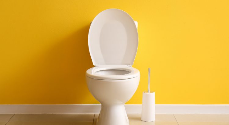 Pourquoi la géométrie interne de la cuvette des toilettes est-elle importante ?